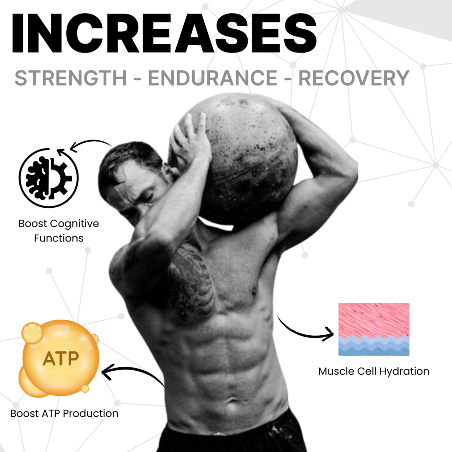 CREATINE MONOHYDRATE PINEAPPLE THEORY