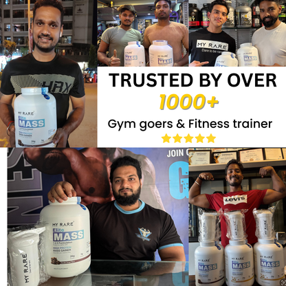 ELITE MASS HIGH PROTEIN GAINER